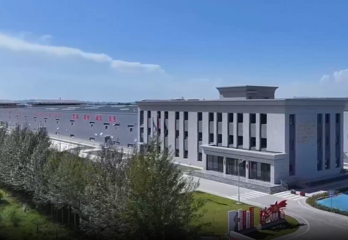 瞰新區(qū)(8月19日)